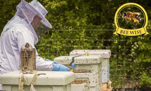 5 Great Family Events To Enjoy In Ireland This September Meet The Beekeeper